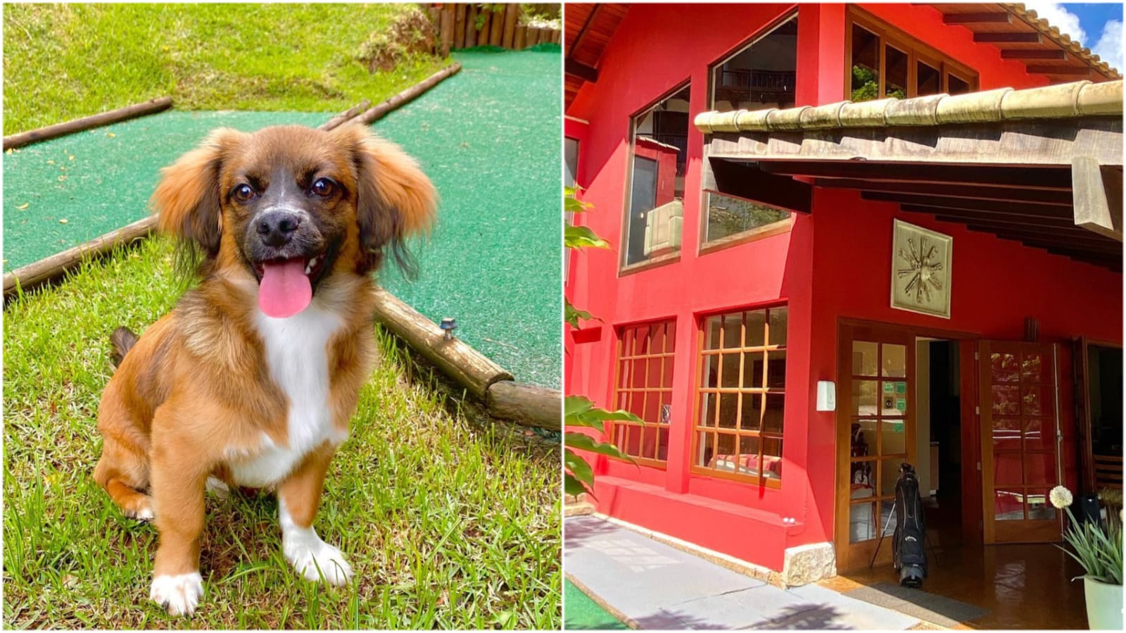 15 pousadas e hotéis de Petrópolis que aceitam cachorros - Sou Petrópolis
