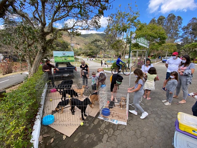 Cachorros engraçados da semana maio de 2016 - Edenvet - Centro