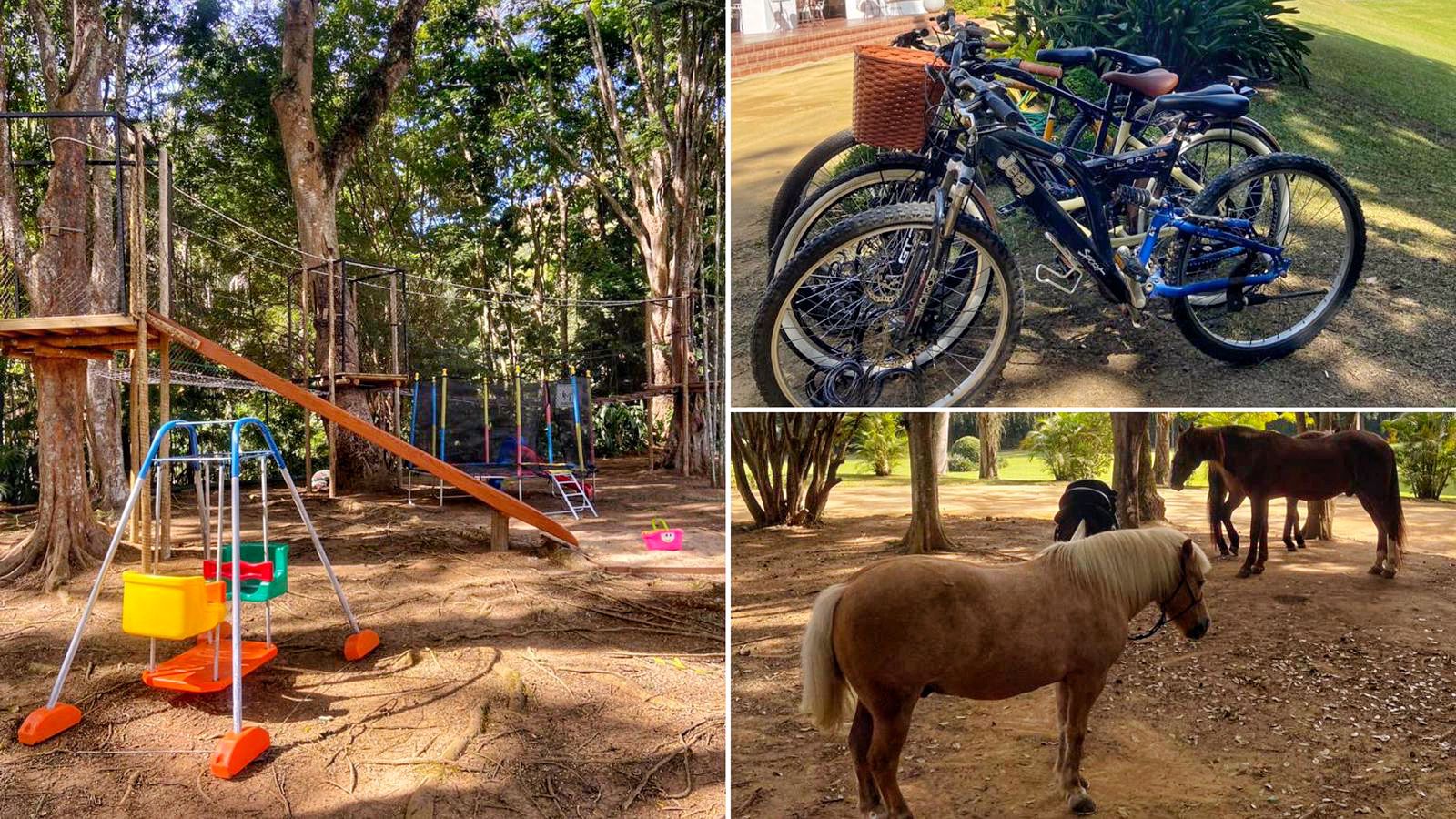 Fazenda Sitio Fazendinha Brinquedo Animais Caminhão Carreta