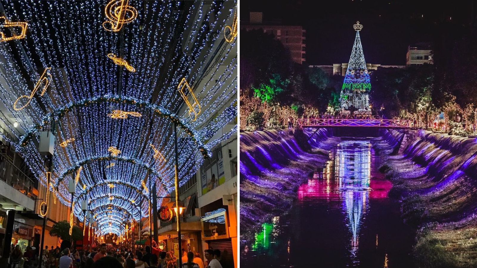Petrópolis anuncia programação do Natal Imperial: túnel de luz, árvore de  35m e shows são destaque do evento - Sou Petrópolis