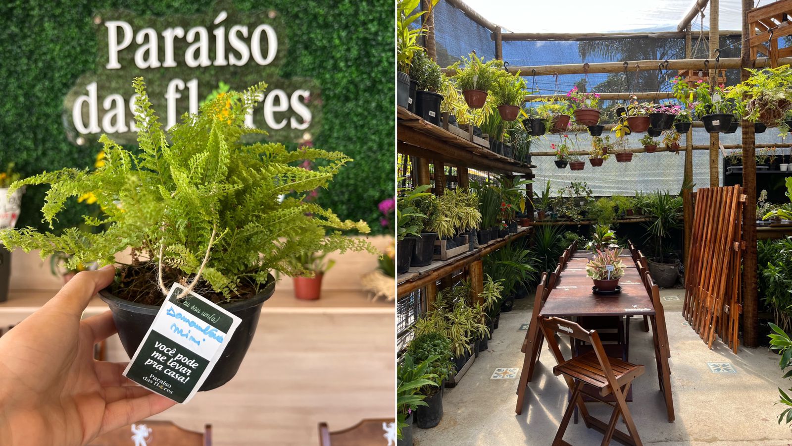 Flores e sabores: floricultura em Corrêas inaugura Espaço Gourmet com ...