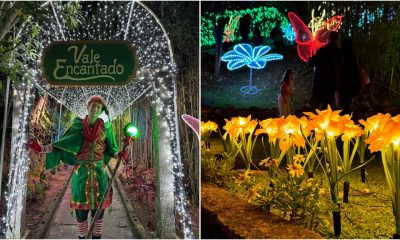 PhotoGrid_1732647696553