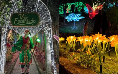 PhotoGrid_1732647696553