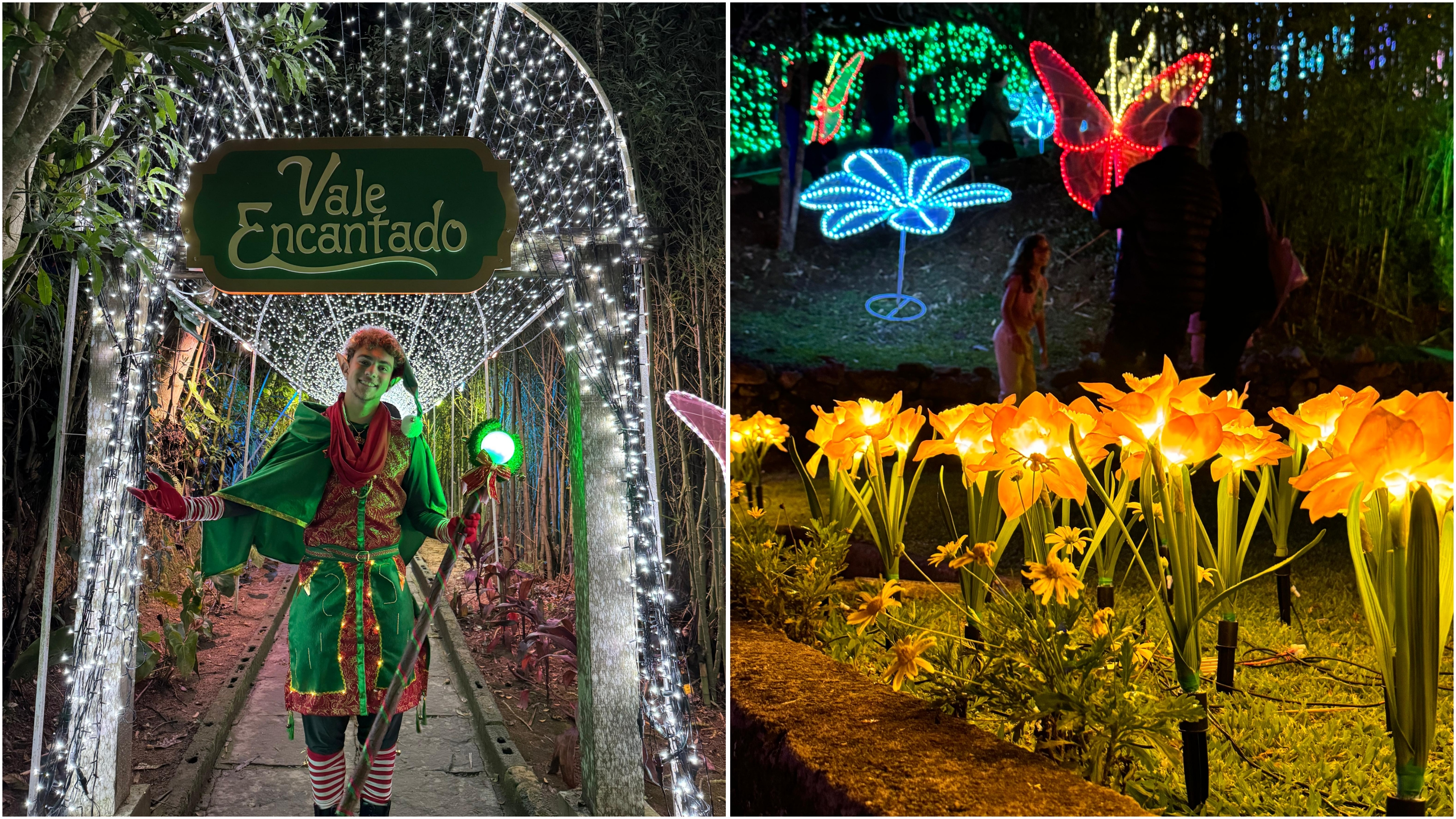 PhotoGrid_1732647696553