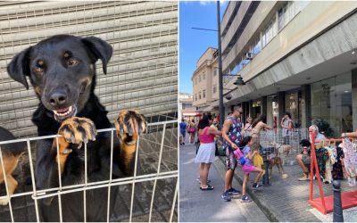 PhotoGrid_1741607355164