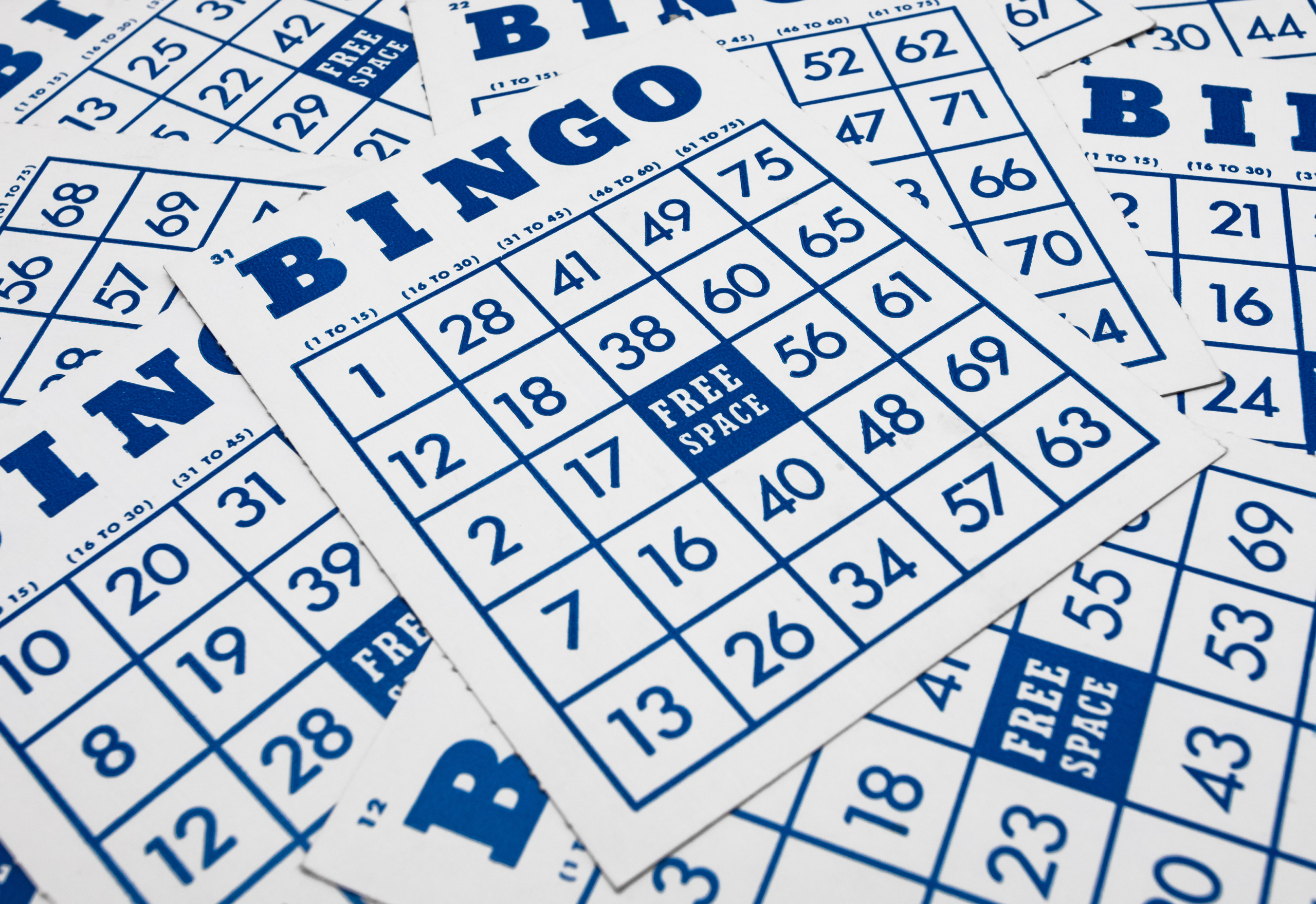 Bingo de Plantas