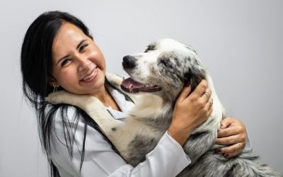 MEDVET Priscila Mesiano (1)