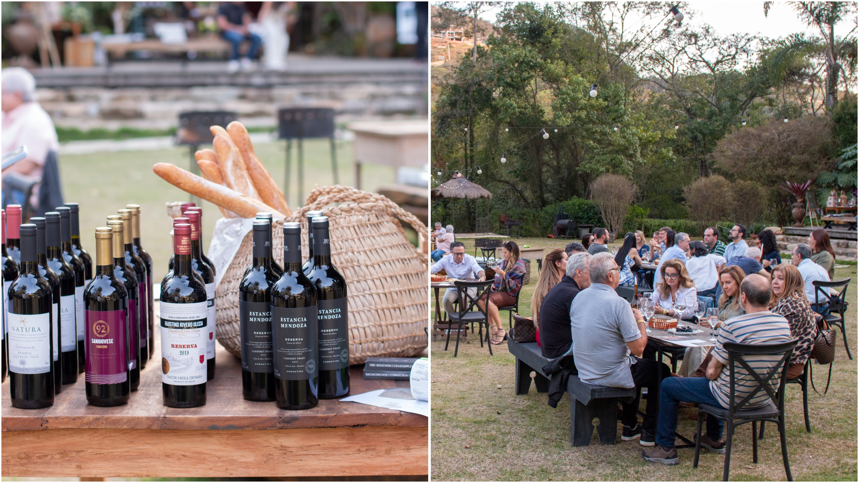 Wine Experience