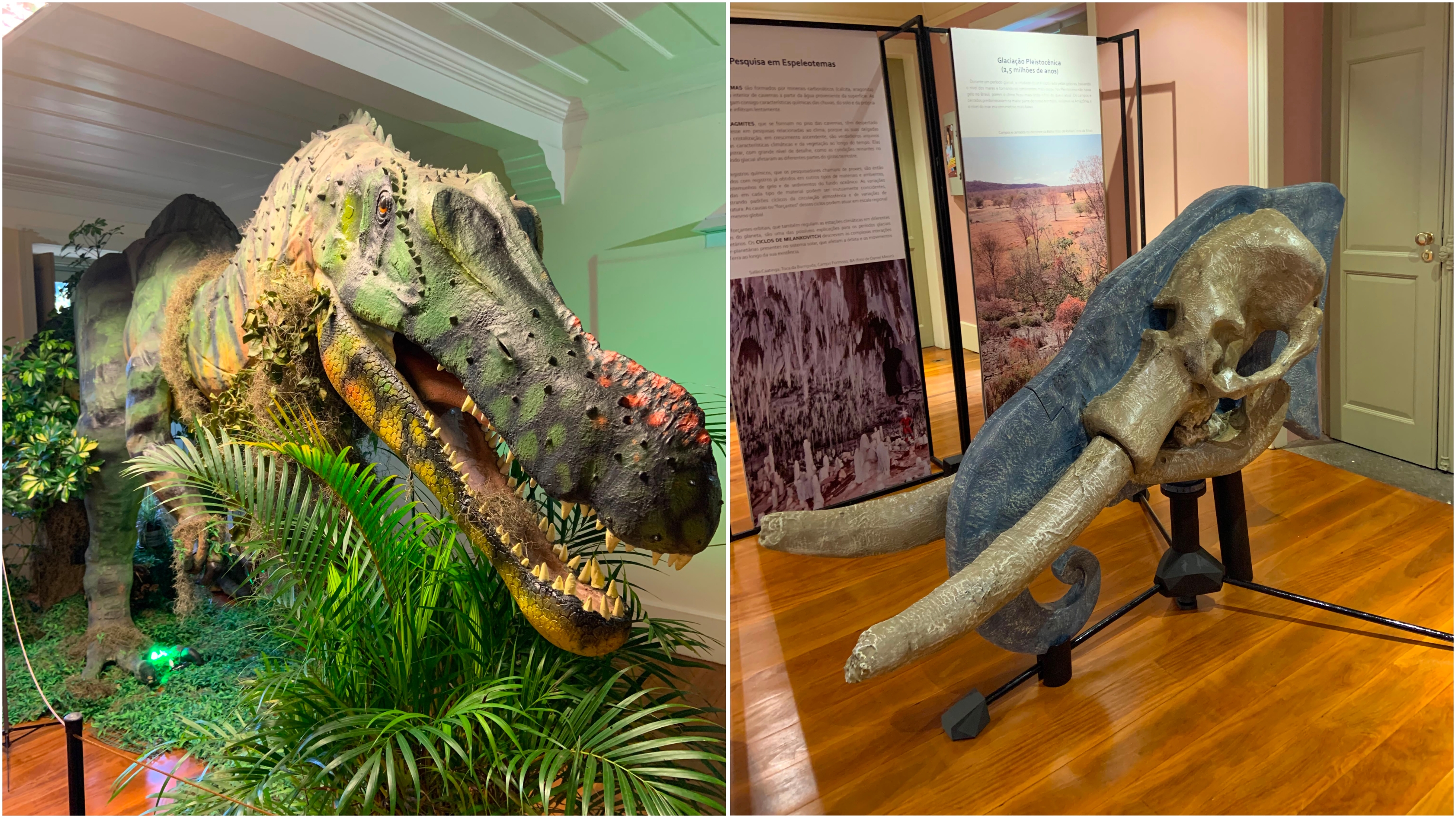 Exposição “Brasil Glacial”