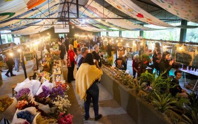feira-de-produtores-credito-lucas-zappa